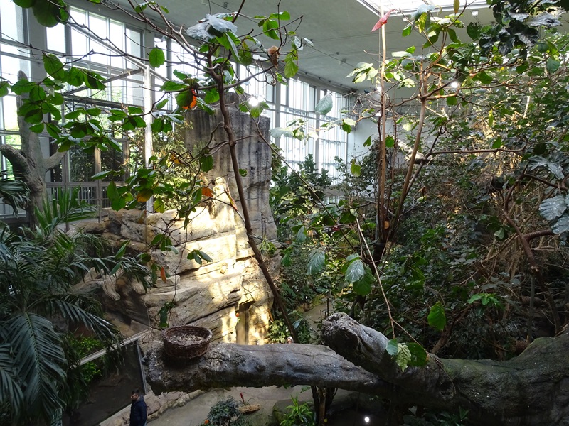 Exotenhaus main hall