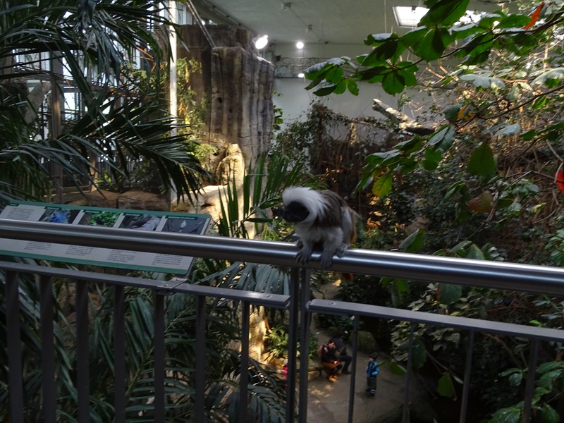 Exotenhaus main hall