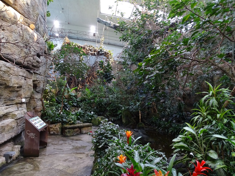 Exotenhaus main hall
