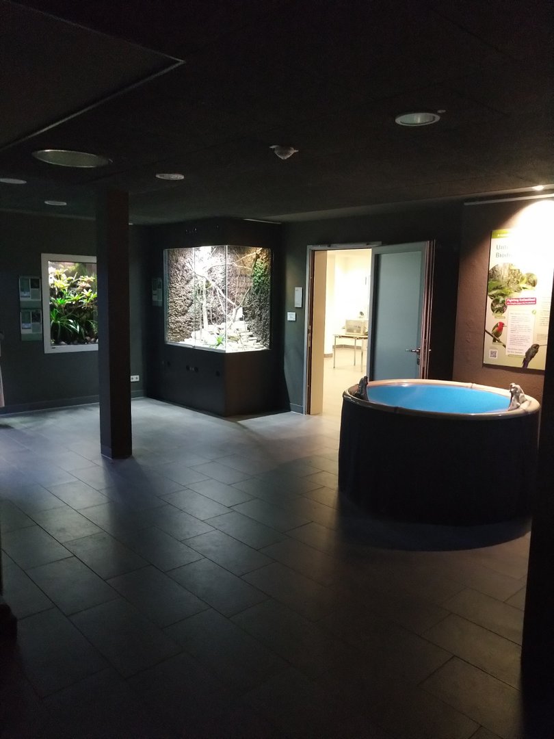 Exotenhaus - Poison dart frog room