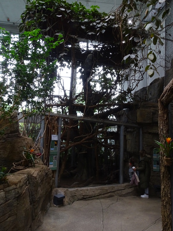 Exotenhaus: Sloth/agouti/callimico/parakeet aviary