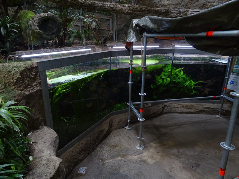 Exotenhaus: Tank for piranha, neon tetra and black tetra