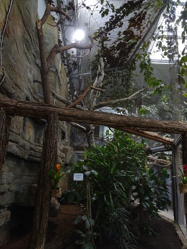 Exotenhaus: Toco toucan & three-banded armadillo enclosure