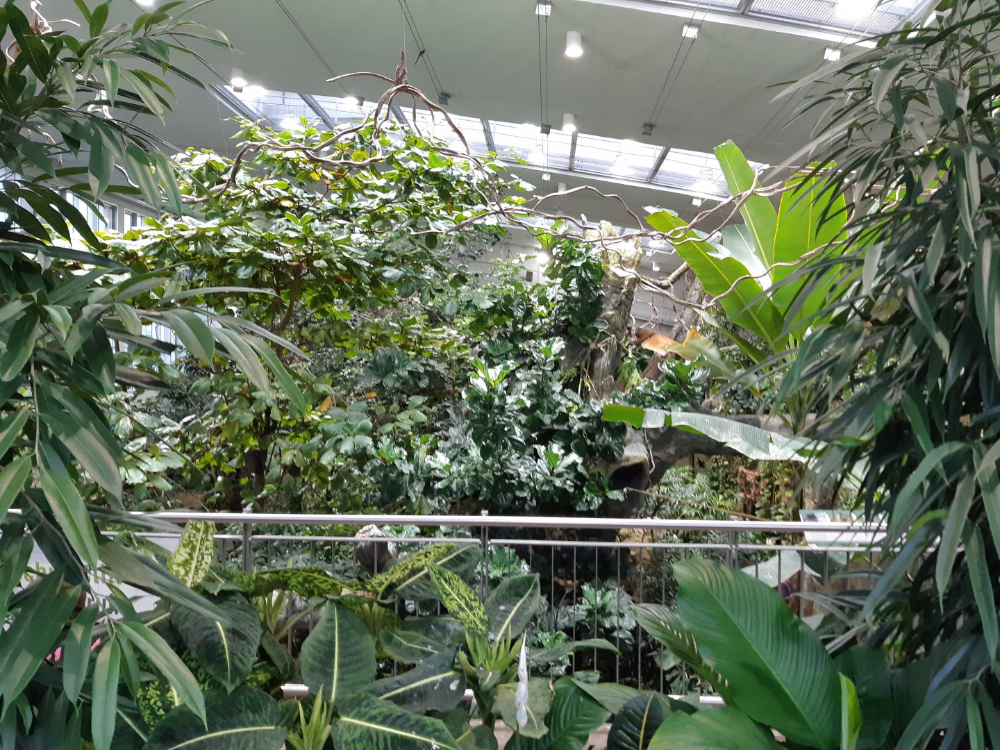 Exotenhaus - view from the gallery