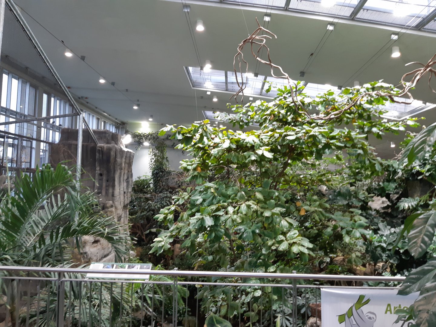 Exotenhaus - view from the gallery