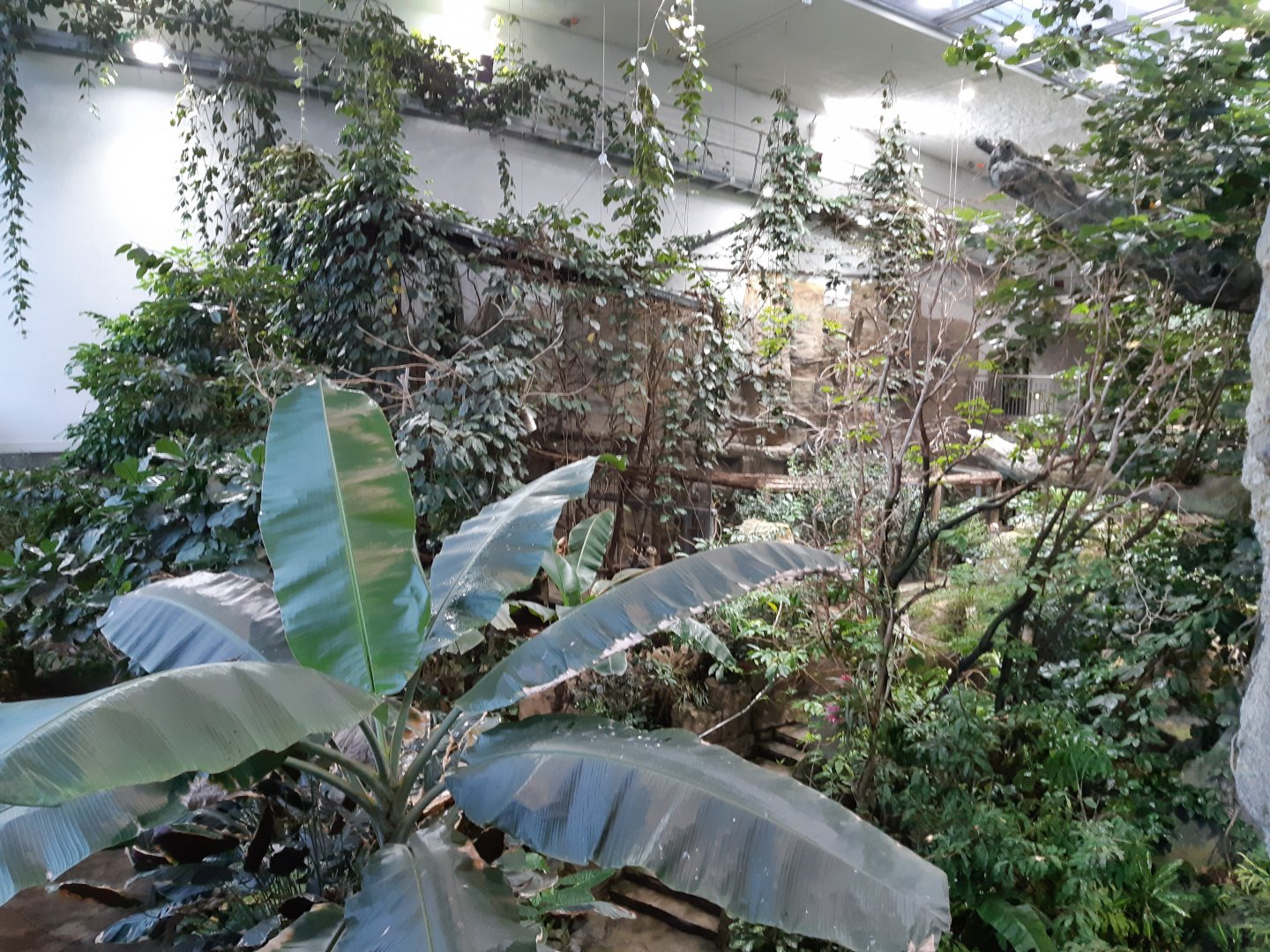 Exotenhaus - view from the gallery