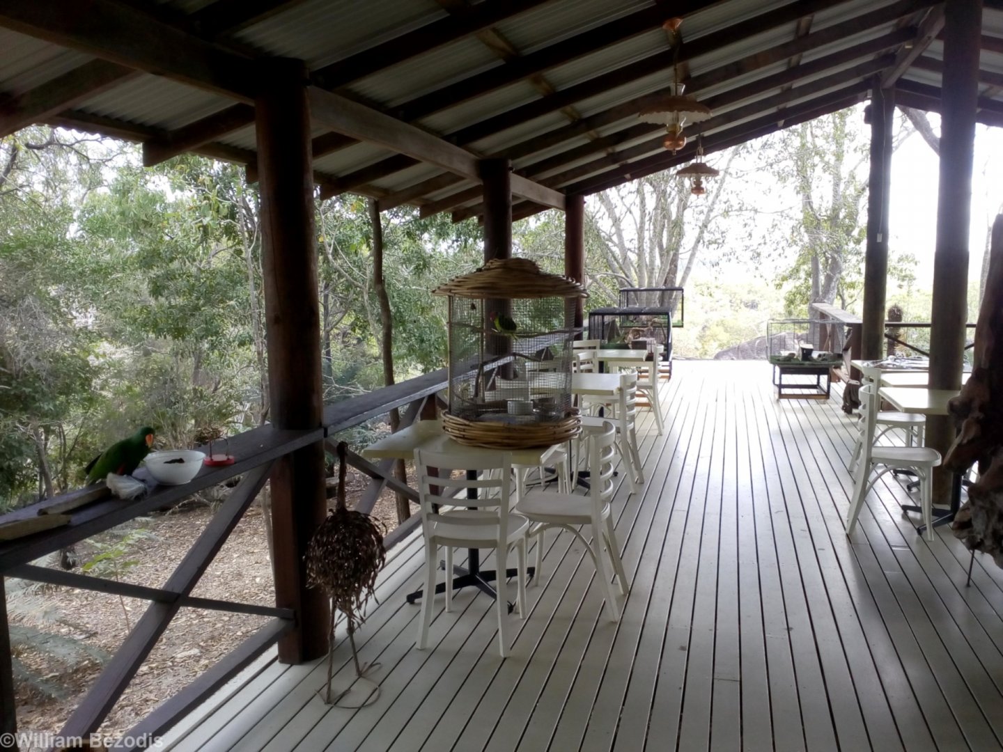 Exotic Birds and Reptiles at Granite Gorge