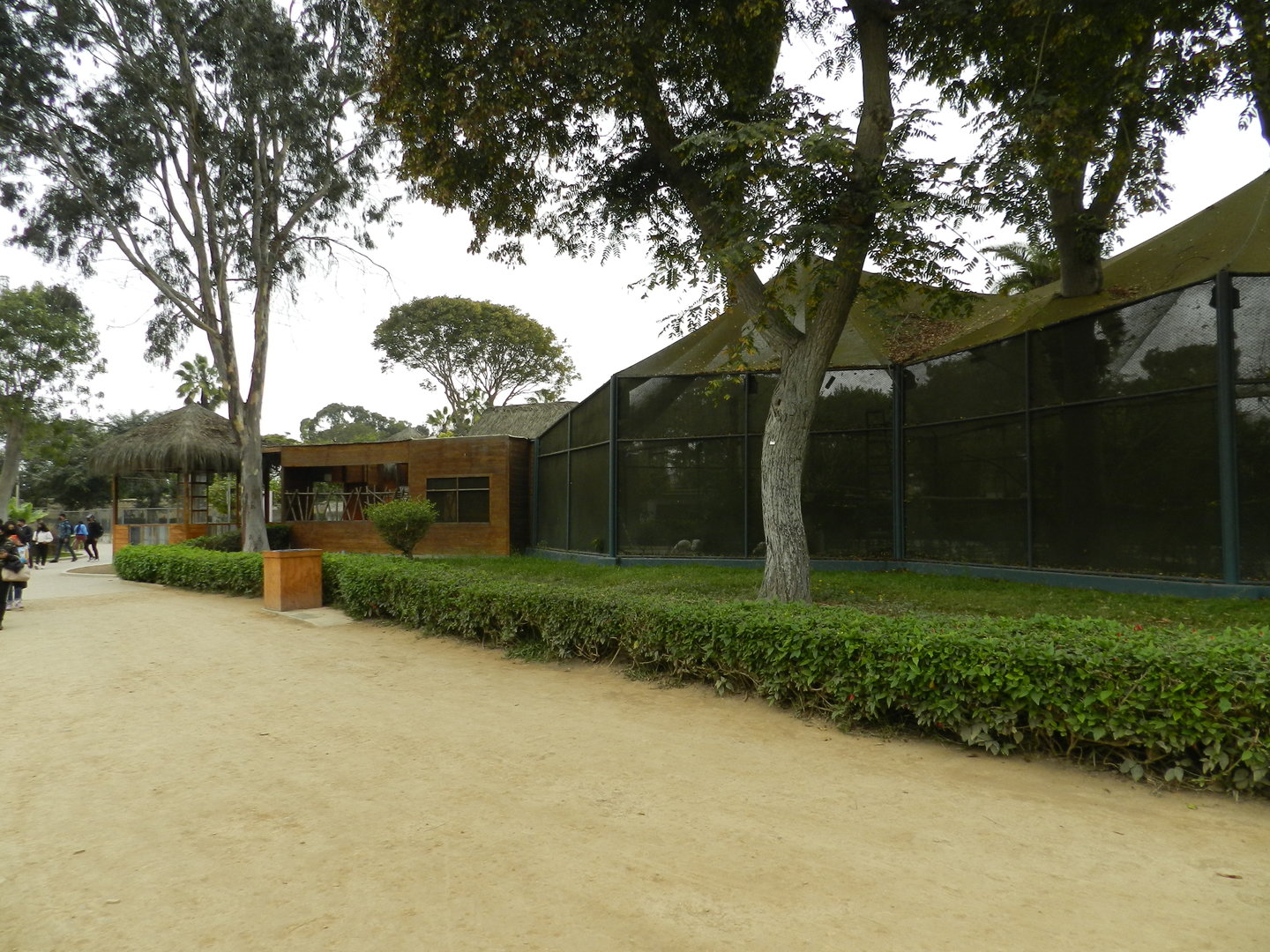 Exotic birds paradise - Parque de Las Leyendas