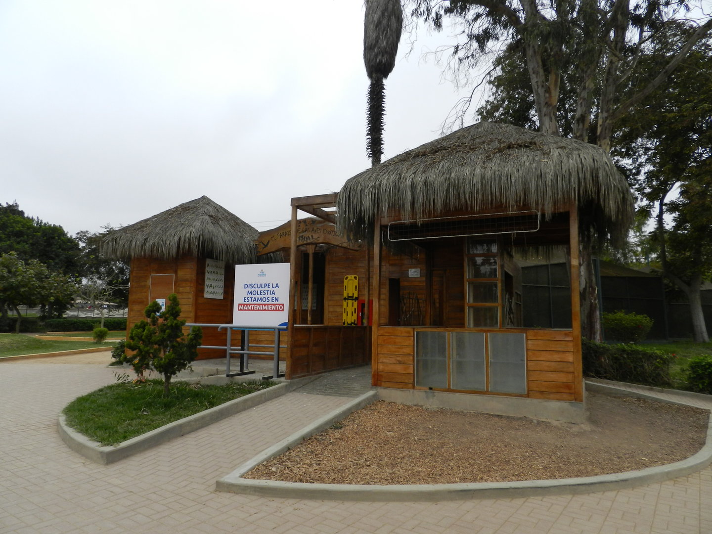 Exotic birds paradise - Parque de Las Leyendas