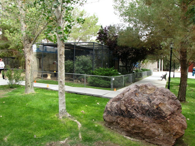 Exotic Feline Center Grounds