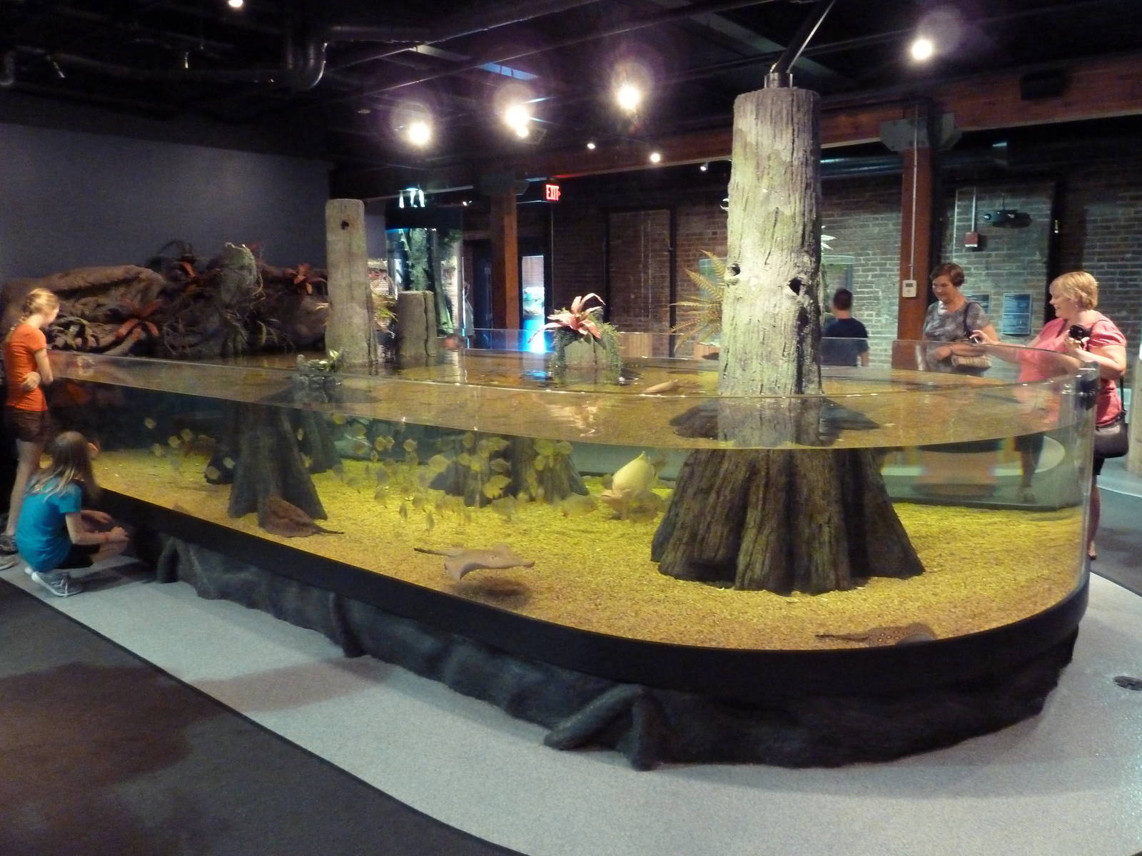 Exotic Freshwater - Piranha/Stingray Tank (Open-Topped)