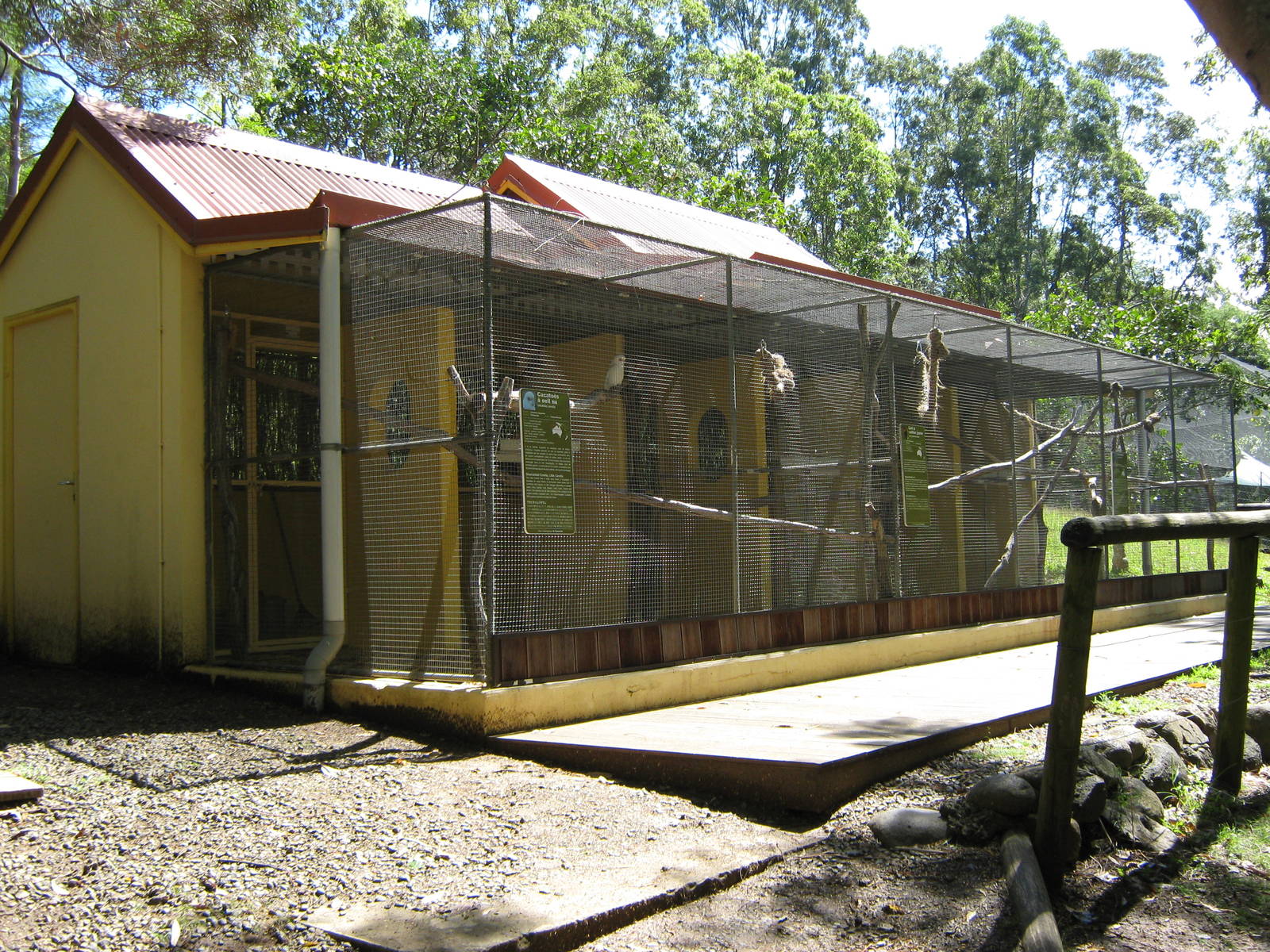 exotic parrot aviaries