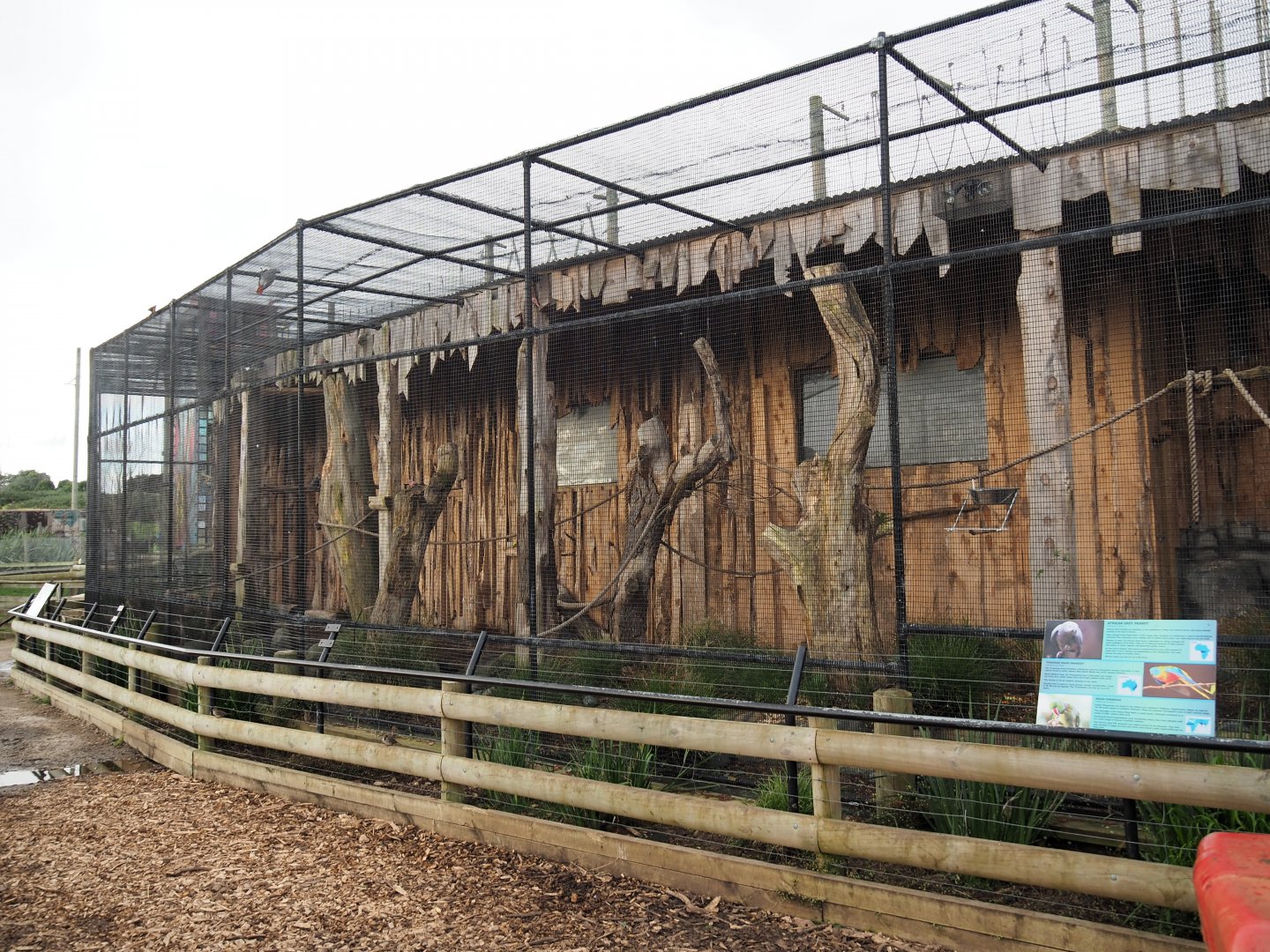 Exotic Parrot Aviary - July 2017