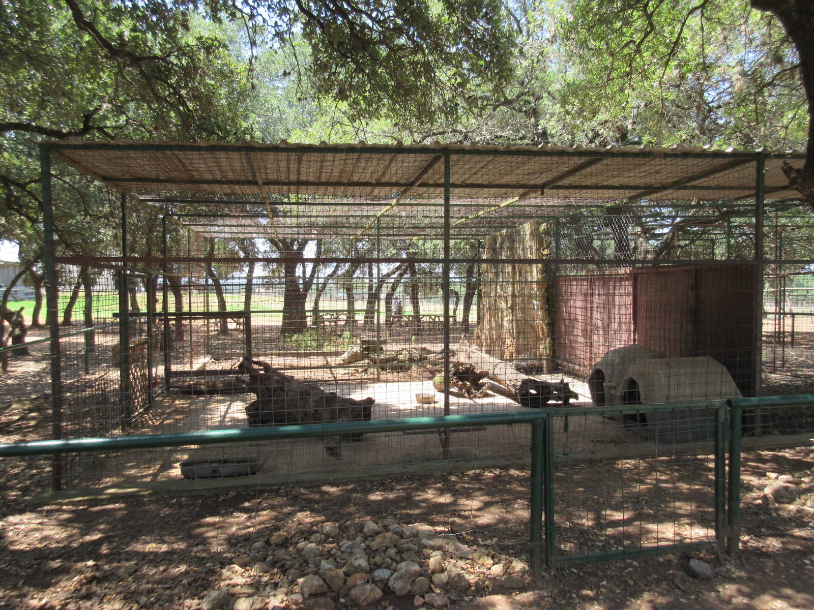 Exotic Resort Zoo (Texas) - African Crested Porcupine Exhibit
