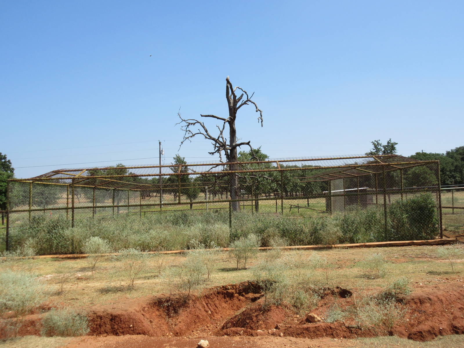 Exotic Resort Zoo (Texas) - Empty Exhibit