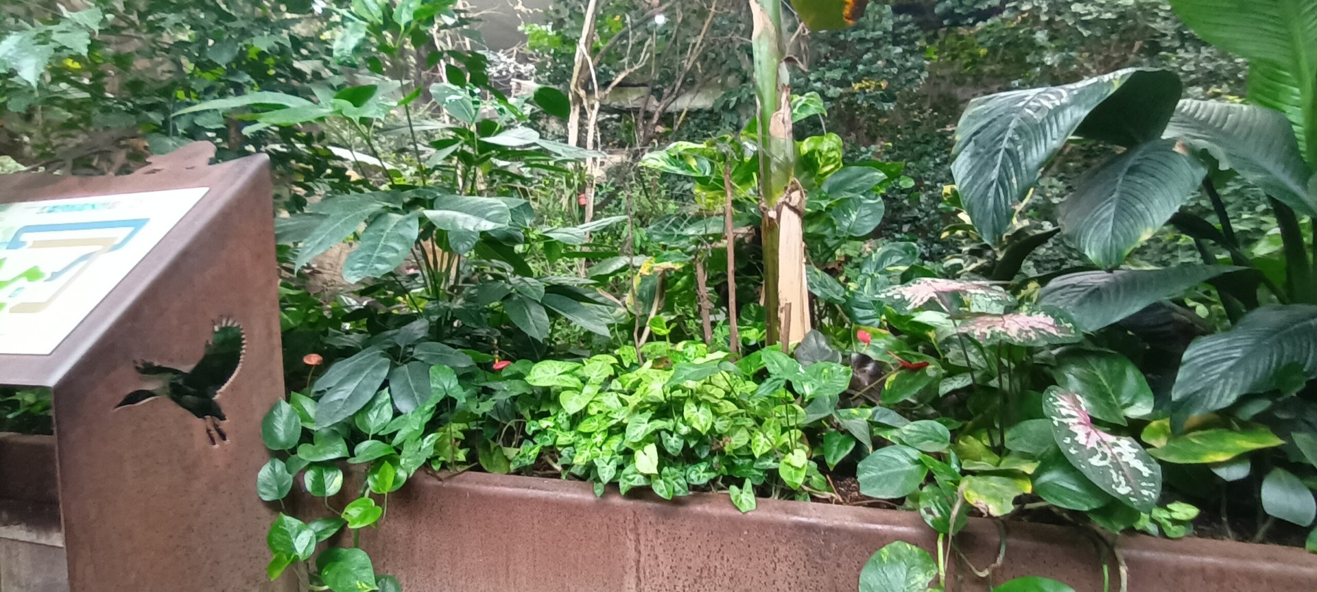 Exotics House general View