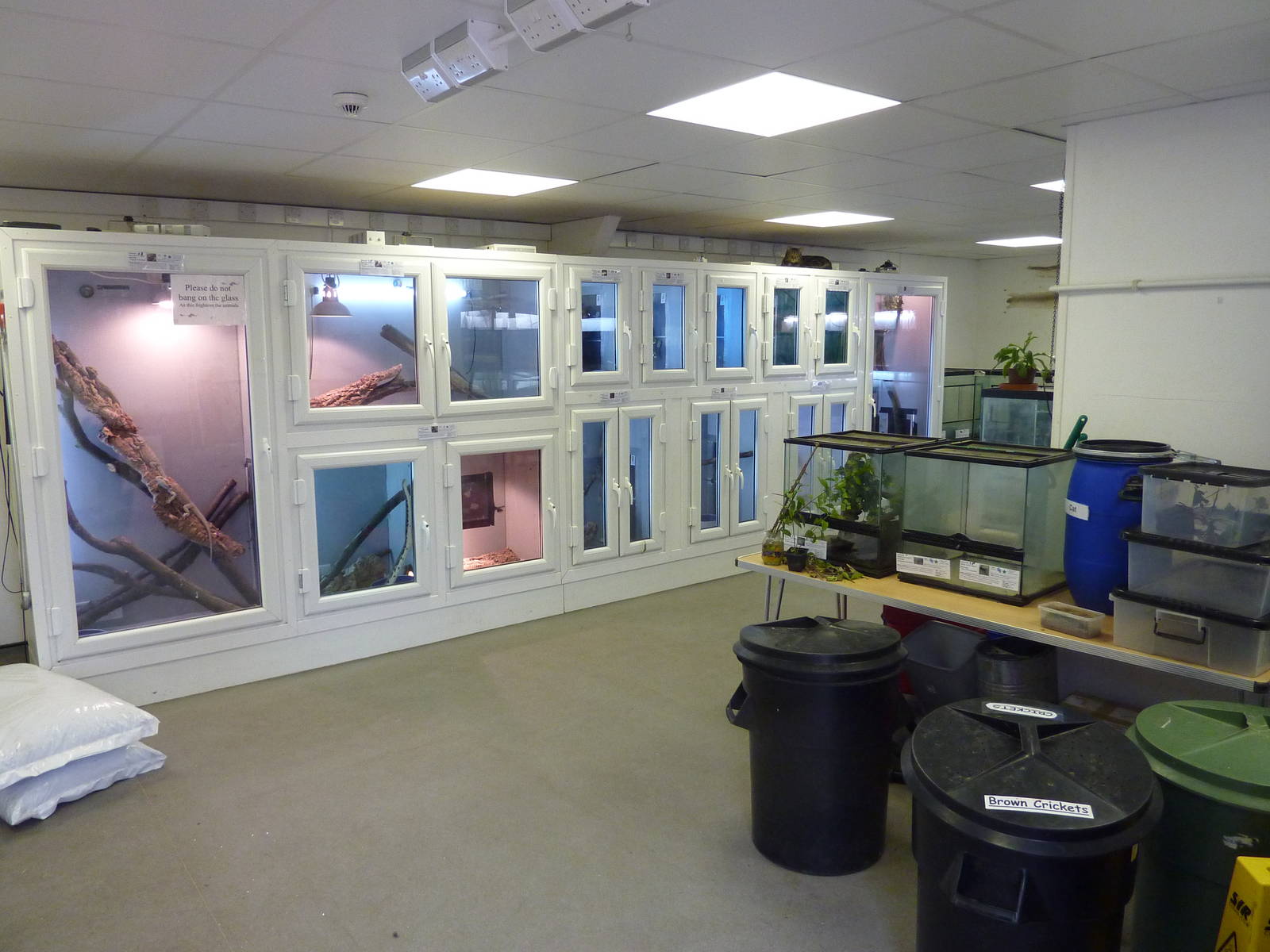 Exotics room, 6th November 2012.