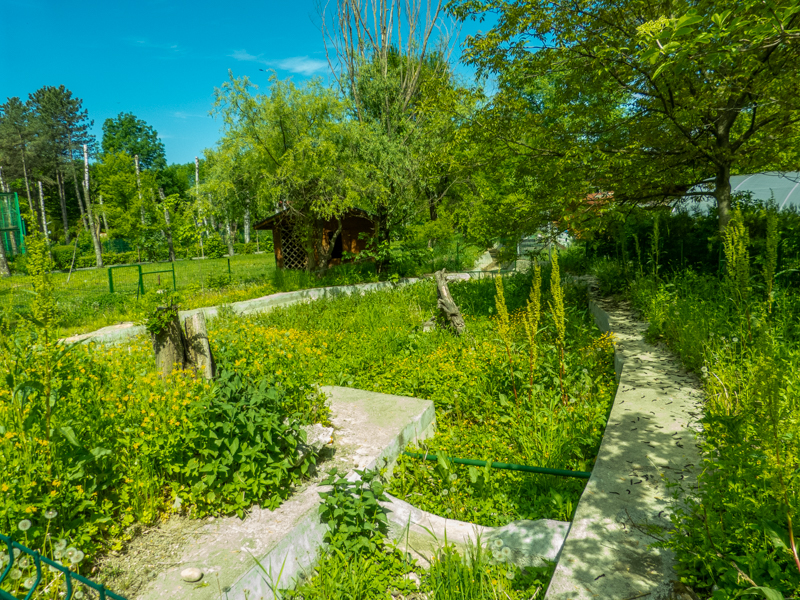 exp. former enclosure of Asian black bear