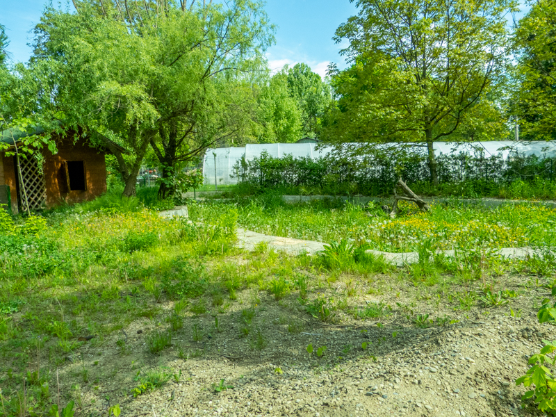 exp. former enclosure of Asian black bear