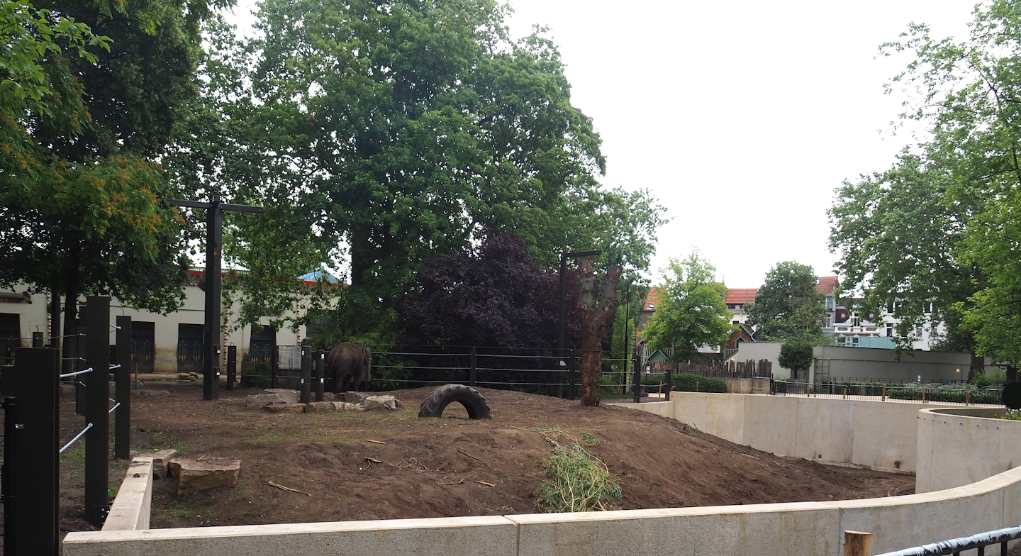 Expanded Asian elephant paddock, 2023-07-02