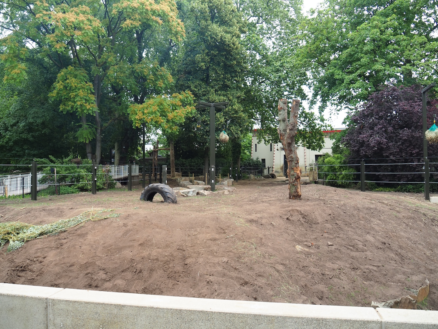 Expanded Asian elephant paddock, 2023-07-02