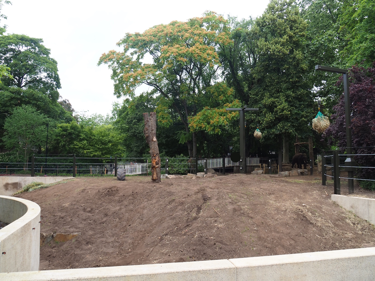 Expanded Asian elephant paddock, 2023-07-02