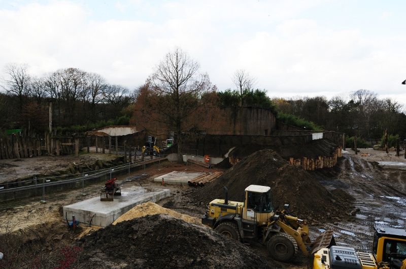 Expanded elephant enclosure at Allwetterzoo