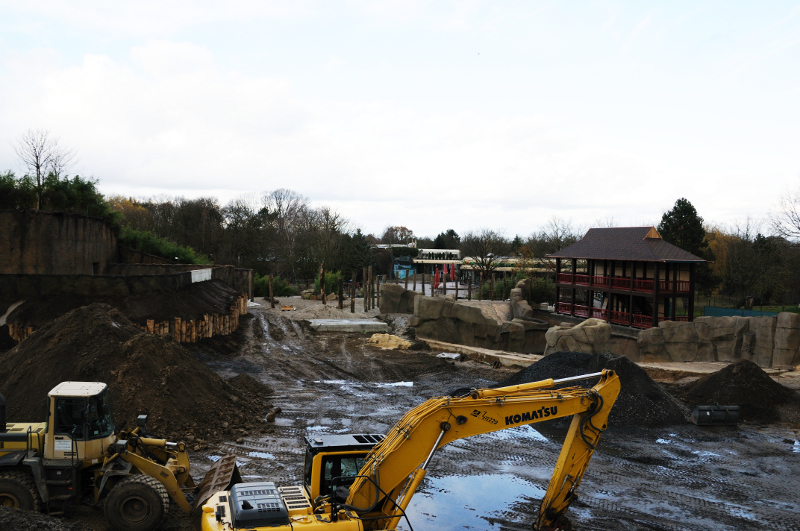 Expanded elephant enclosure at Allwetterzoo