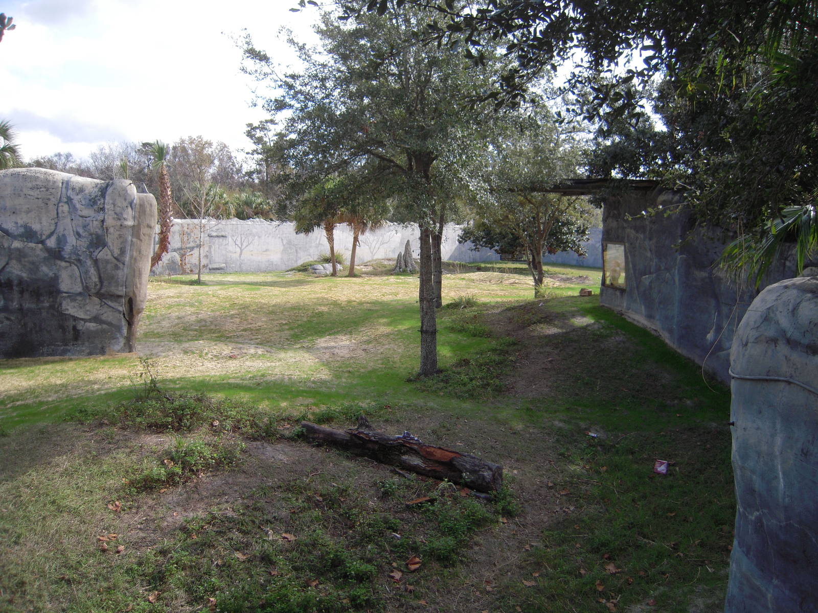 Expanded Gorilla Yard - Great Apes of the World