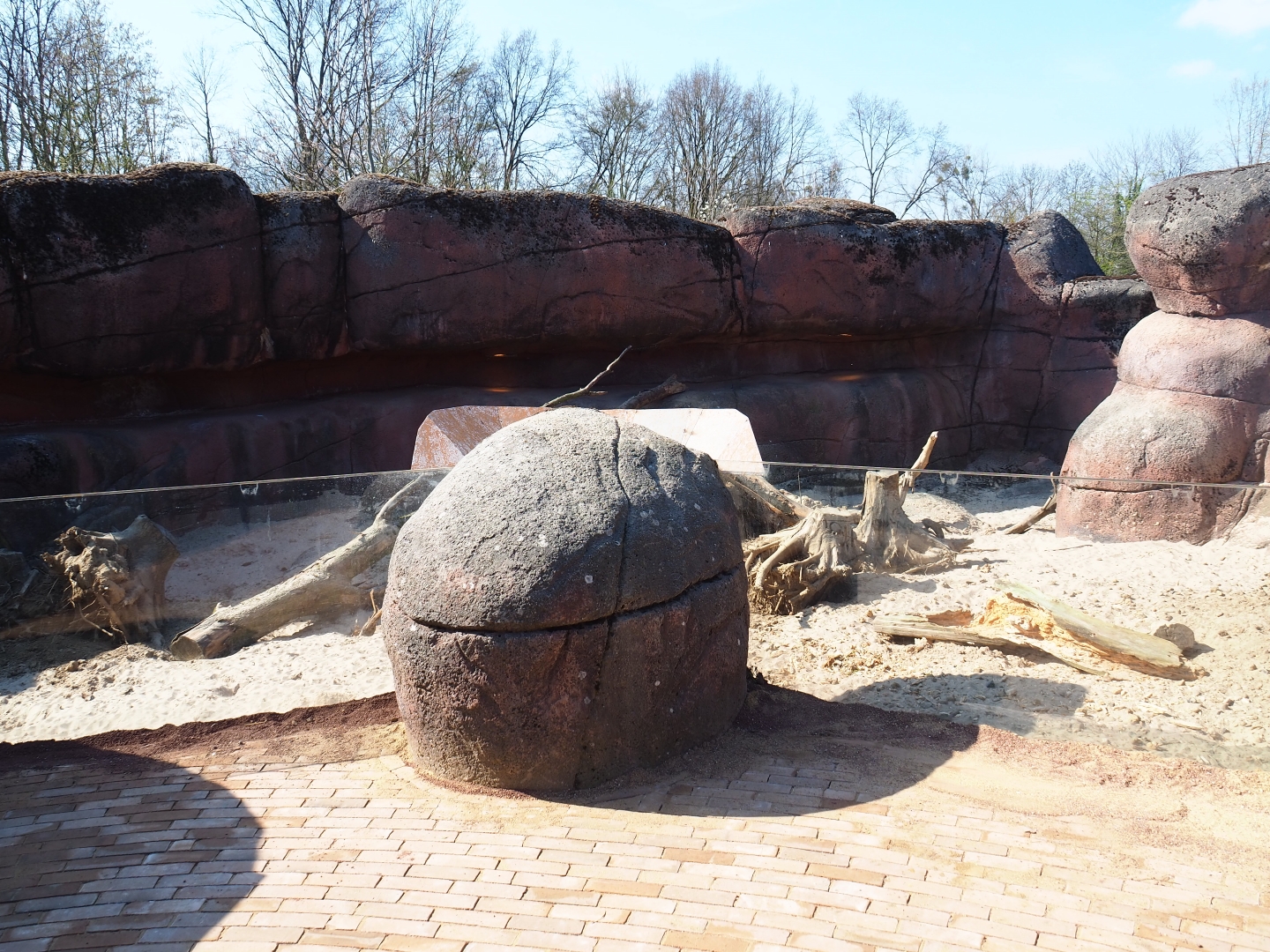 Expanded meerkat exhibit at the location of the former rock hyrax exhibit, 2019-03-30