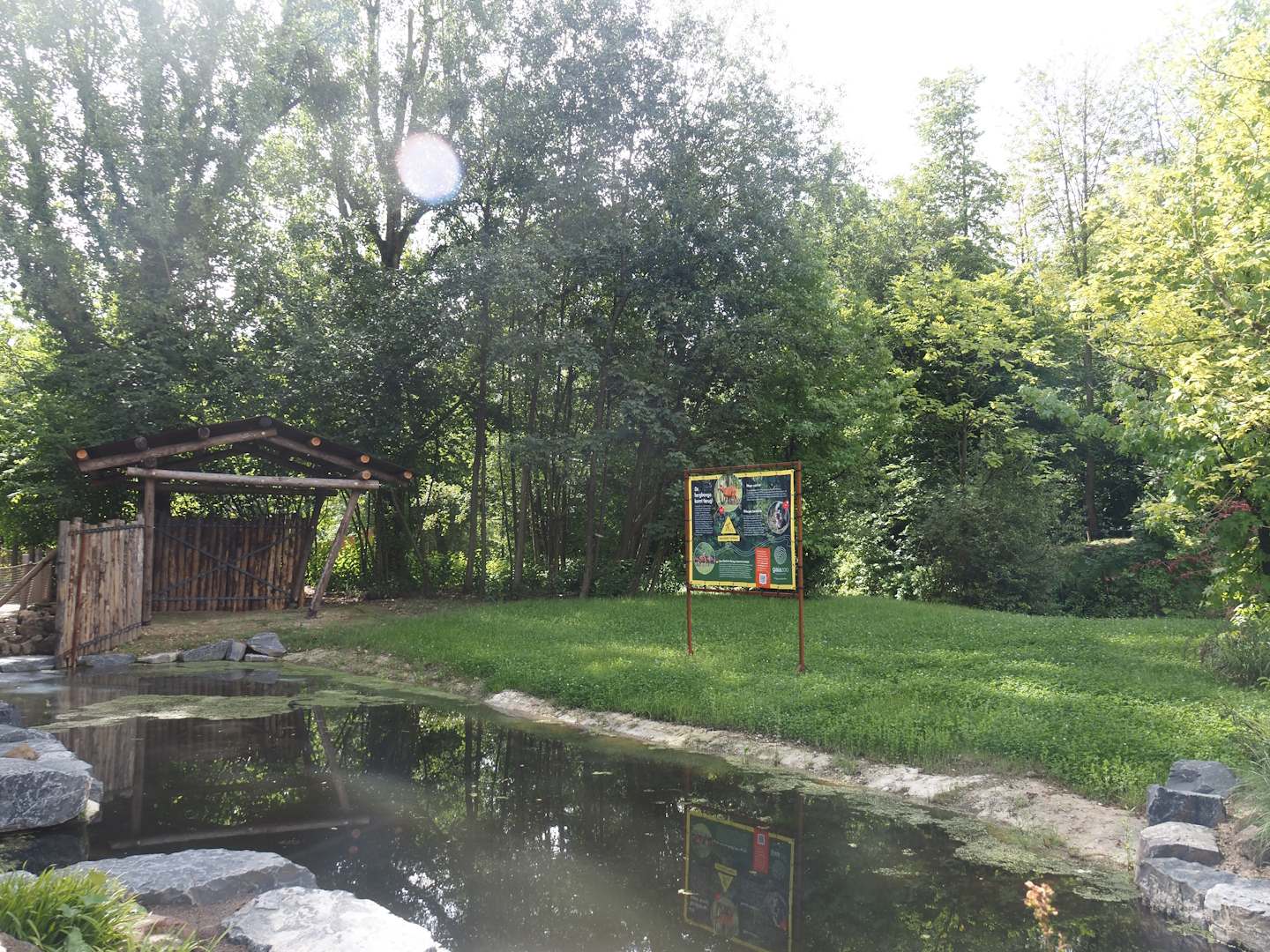 Expanded Mountain bongo paddock - Former red river hog paddock, 2024-08-21