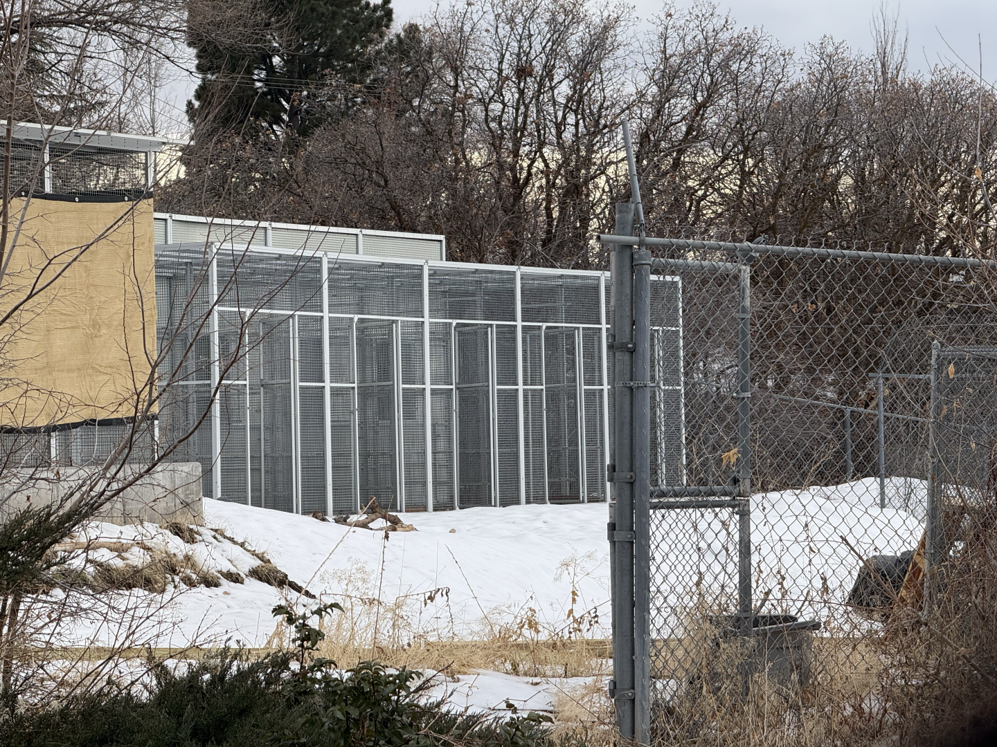 Expanded Quarantine/Small Cat Breeding Center