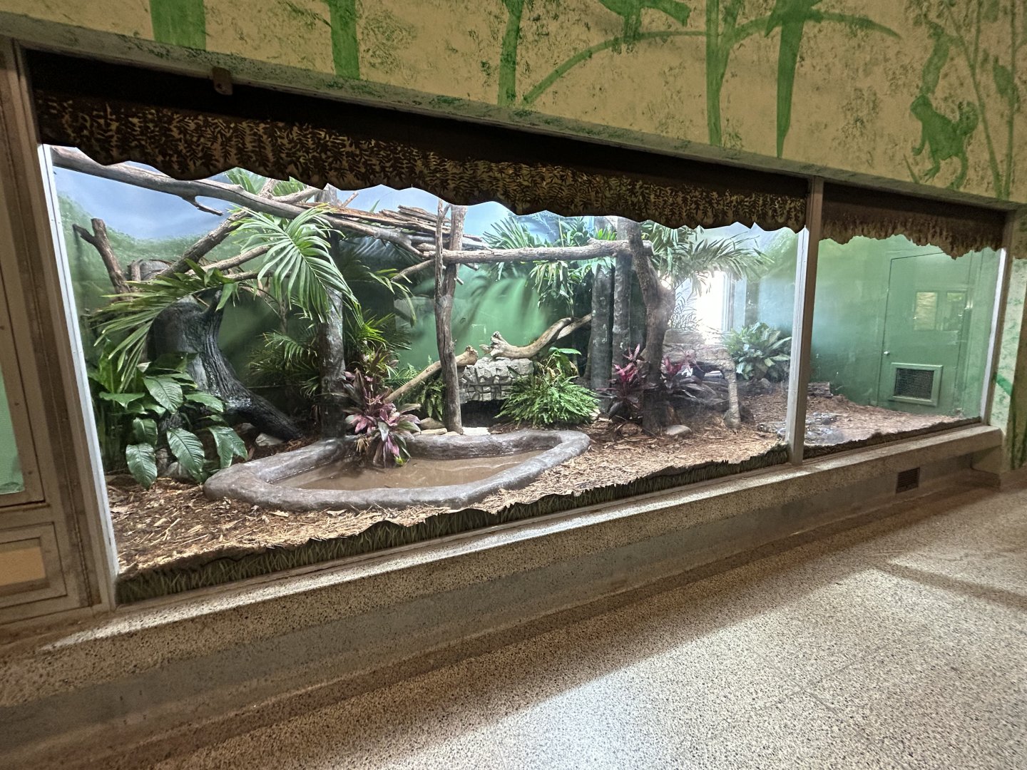 Expanded Reticulated Python Exhibit