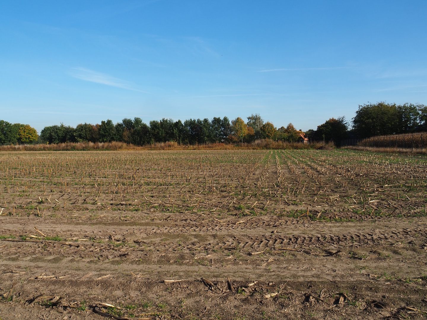 Expansion area for the zoo, 2022-10-09