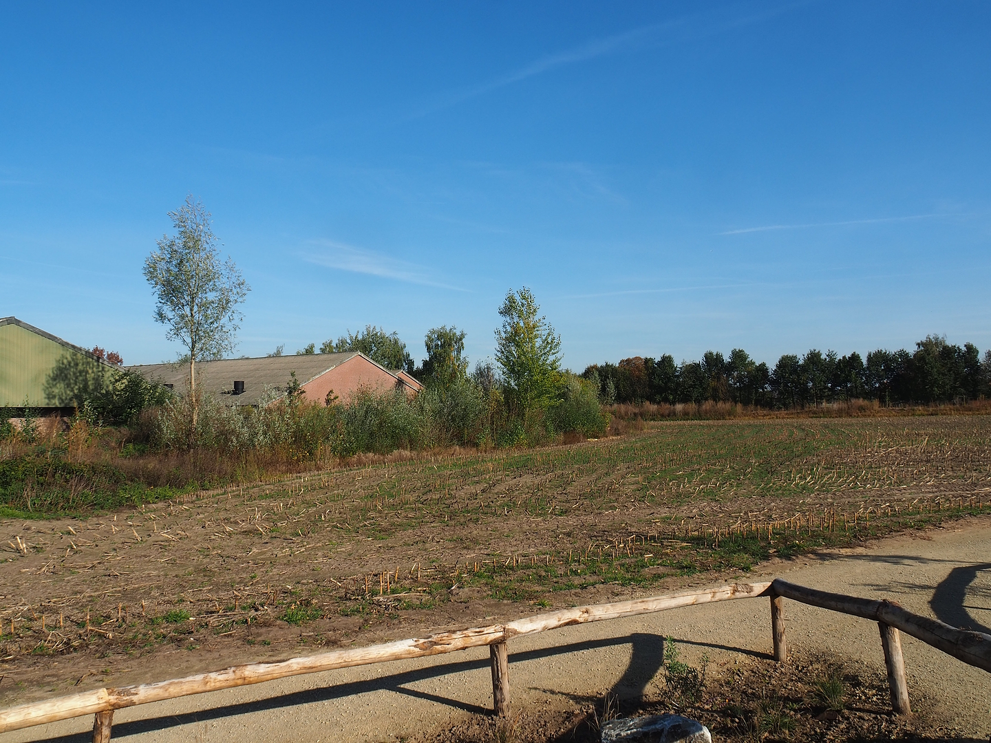 Expansion area for the zoo, 2022-10-09