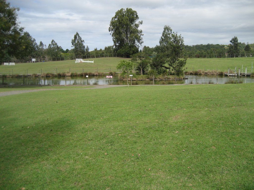 Expansive Lawns and island with Wedgetails