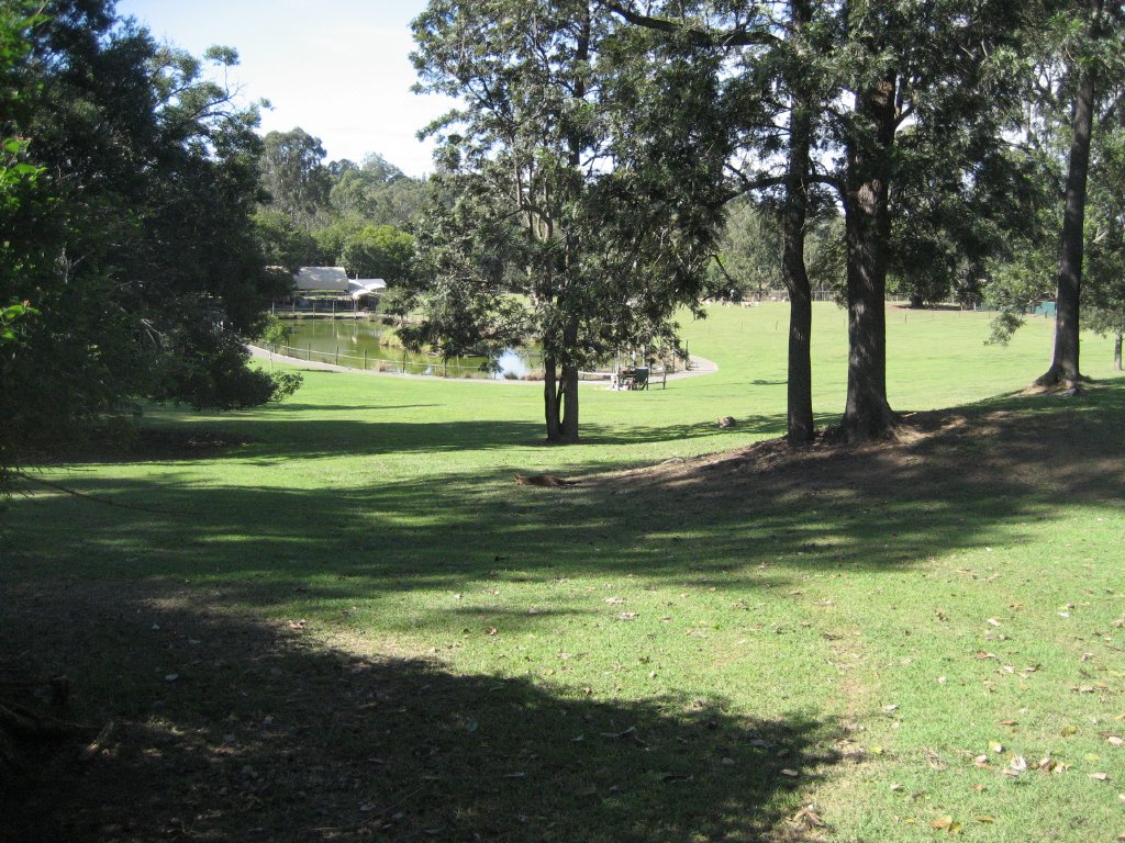 Expansive Lawns