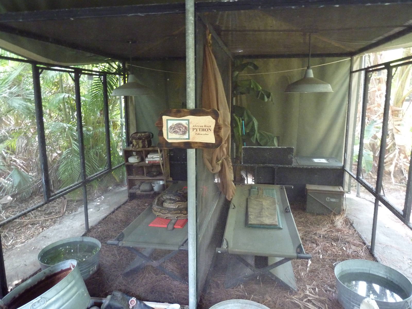 Expedition Africa - African Rock Python Exhibits