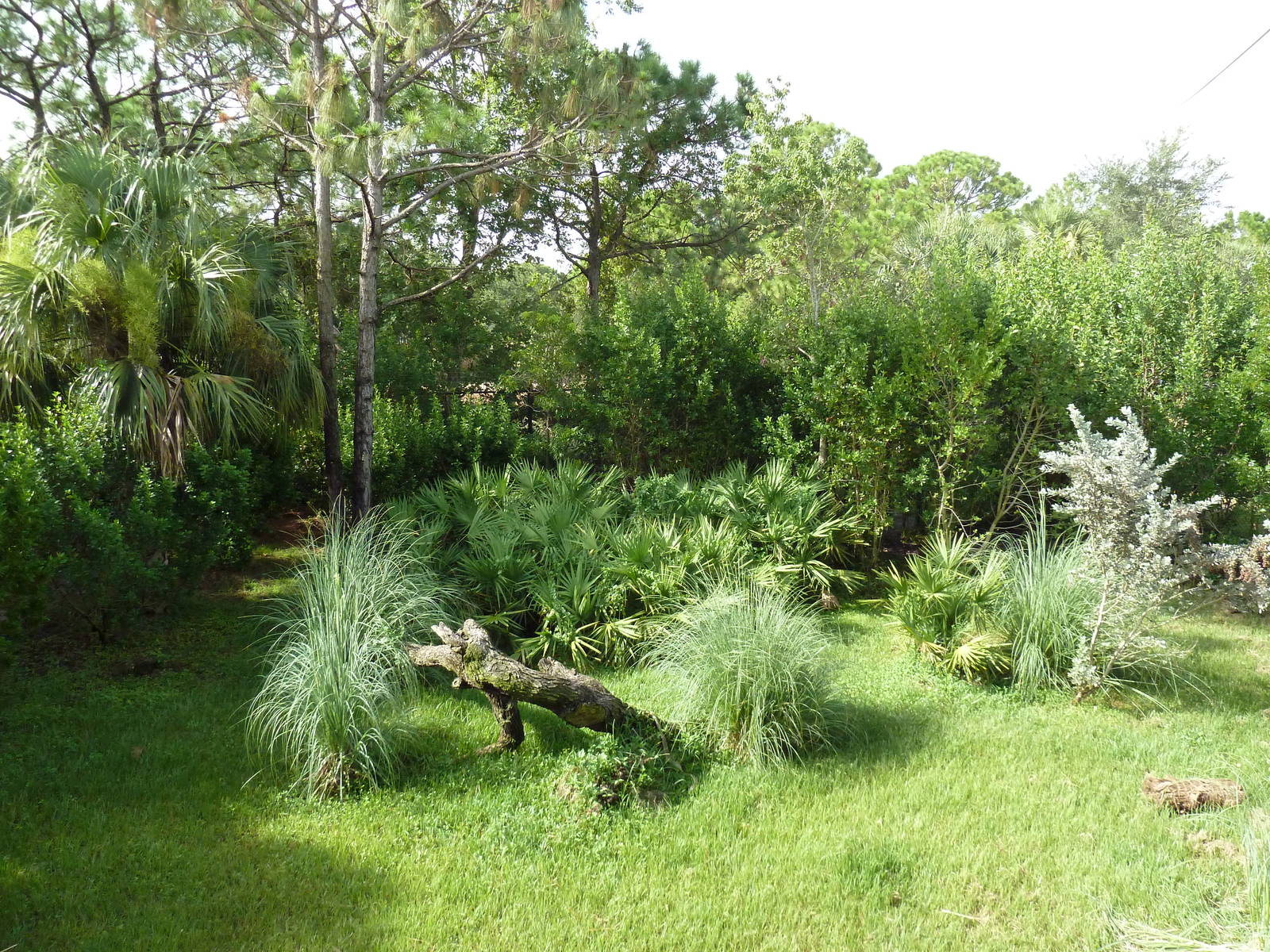 Expedition Africa - Cheetah Exhibit