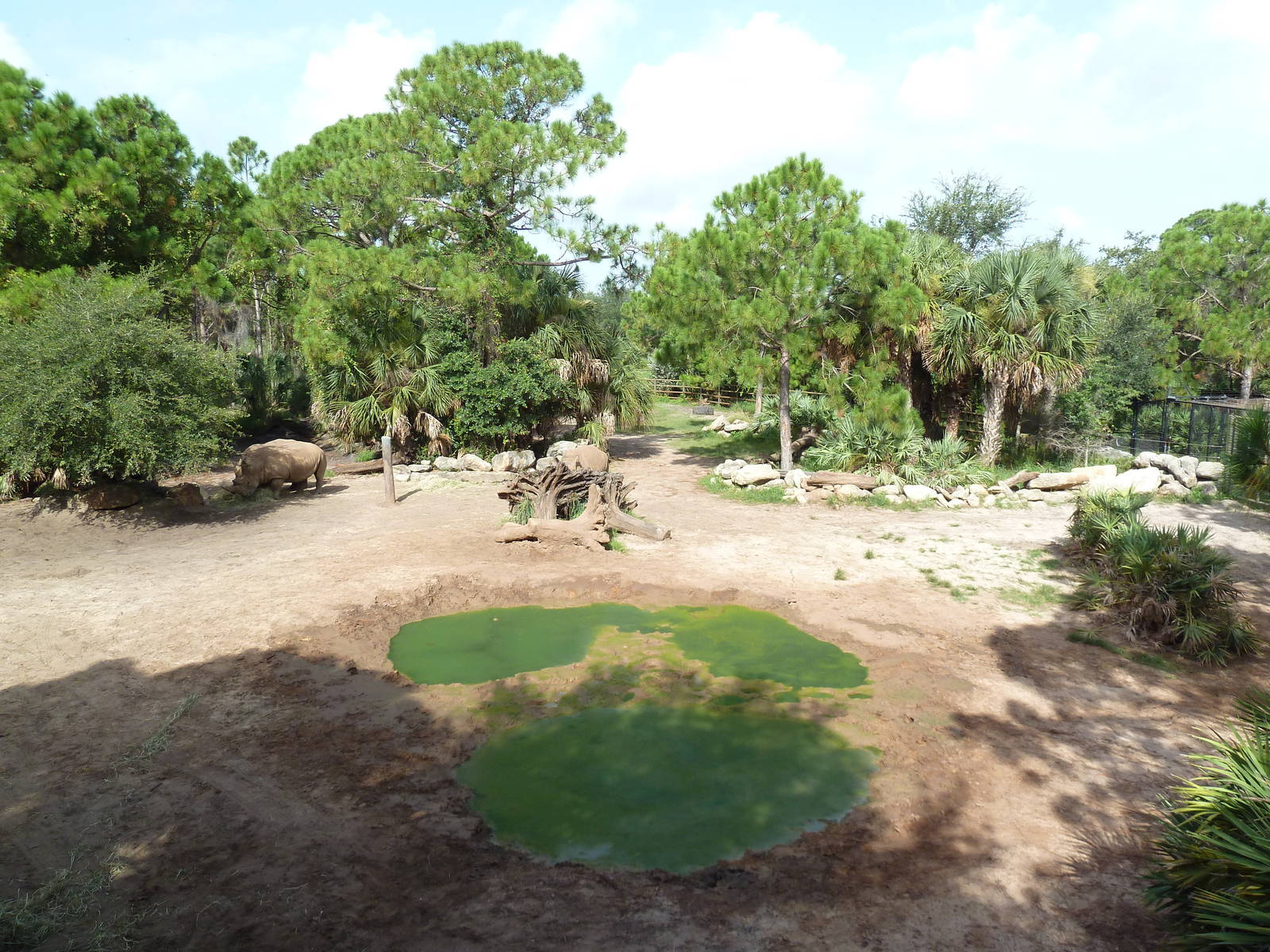 Expedition Africa - White Rhino Exhibit