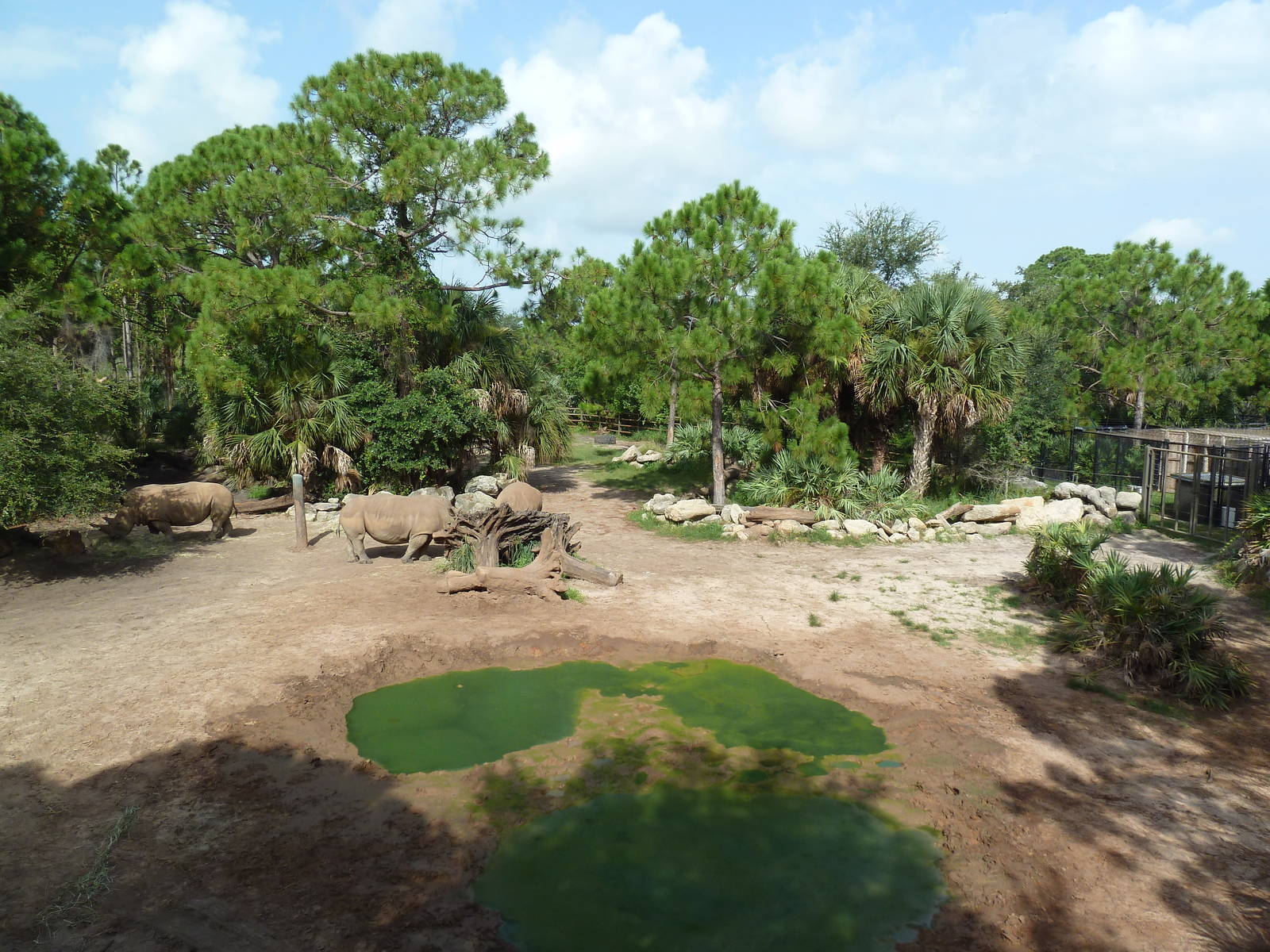 Expedition Africa - White Rhino Exhibit