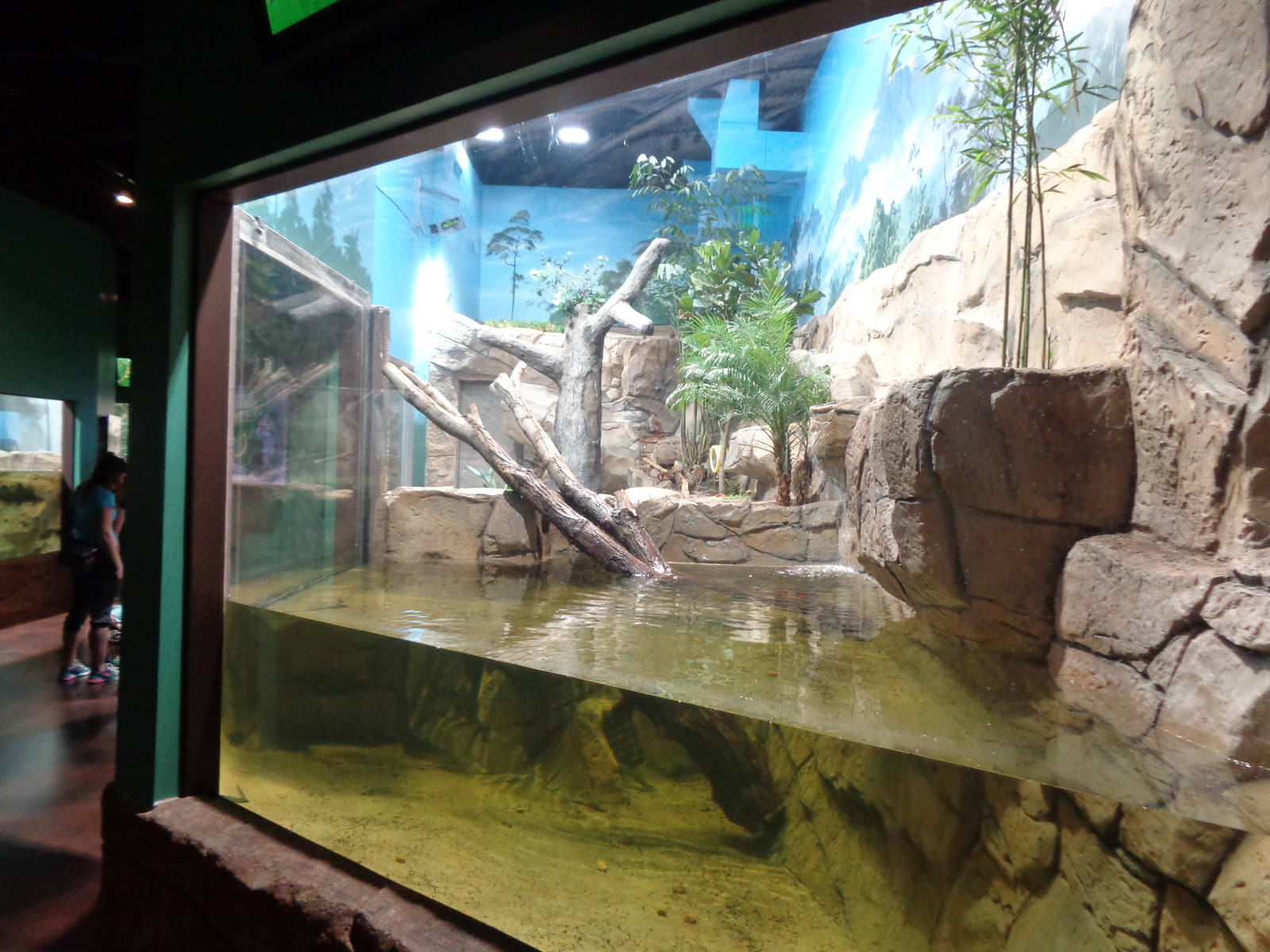 Expedition: Asia - Otter Exhibit
