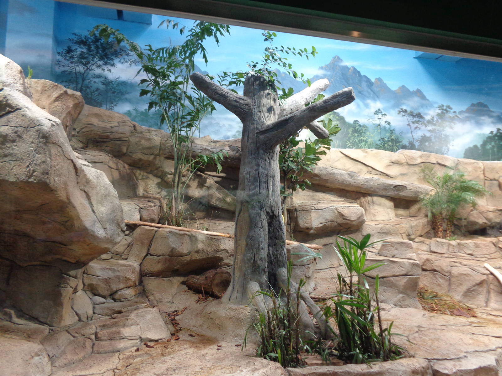 Expedition: Asia - Otter Exhibit