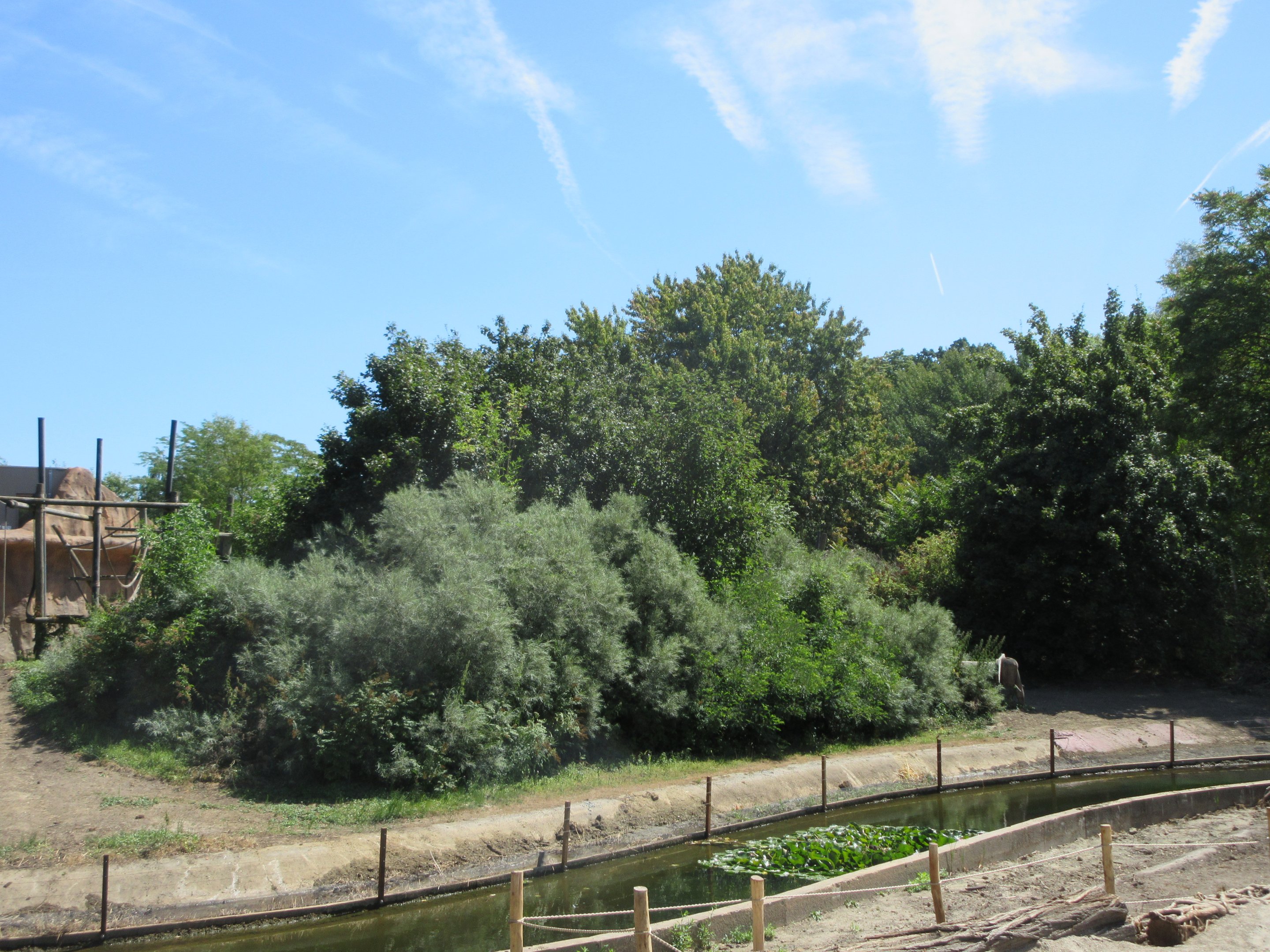 Expedition Bonobo (New in 2019)