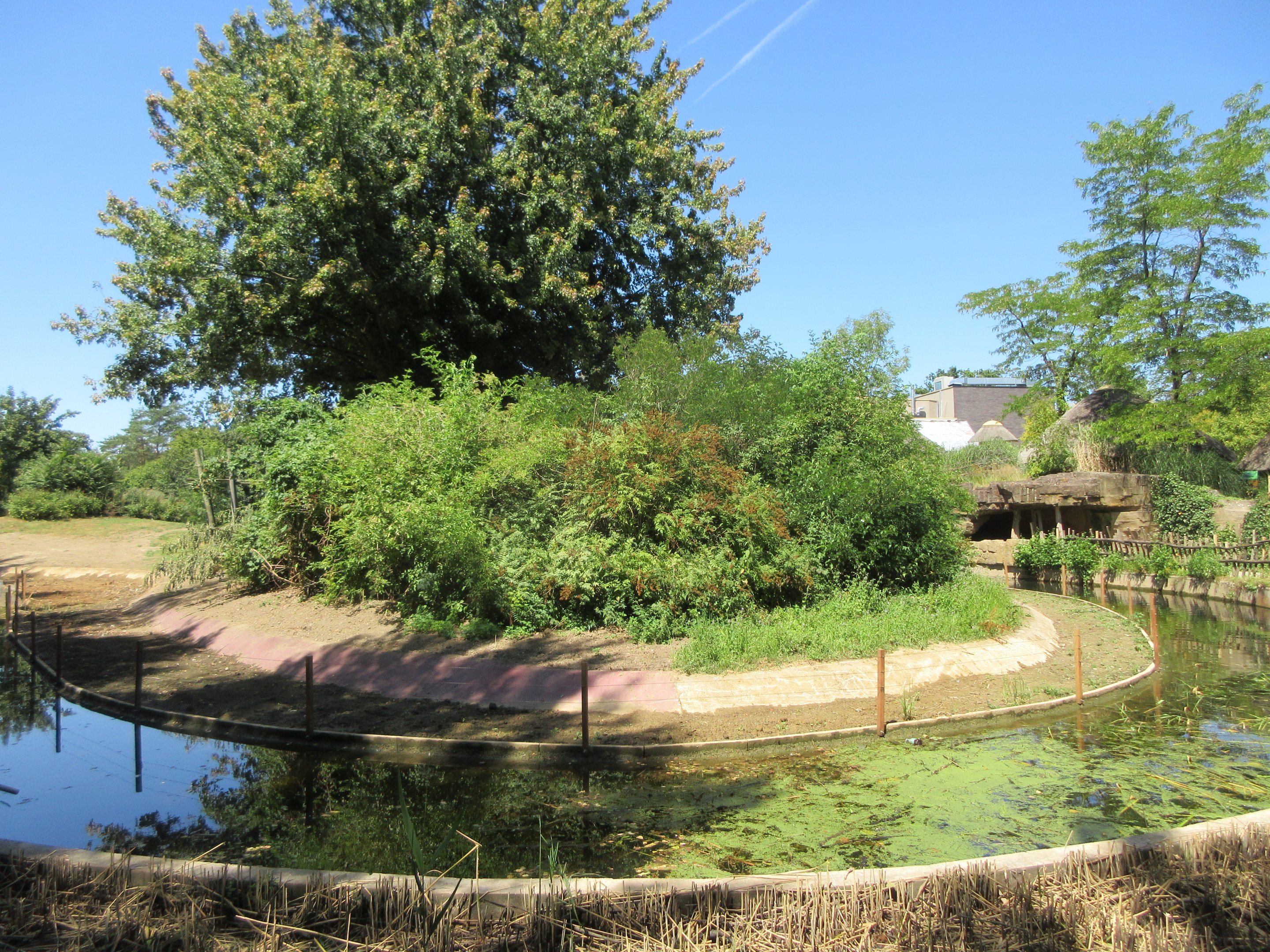 Expedition Bonobo (New in 2019)