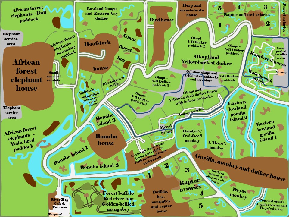 Expedition Congo - Forests