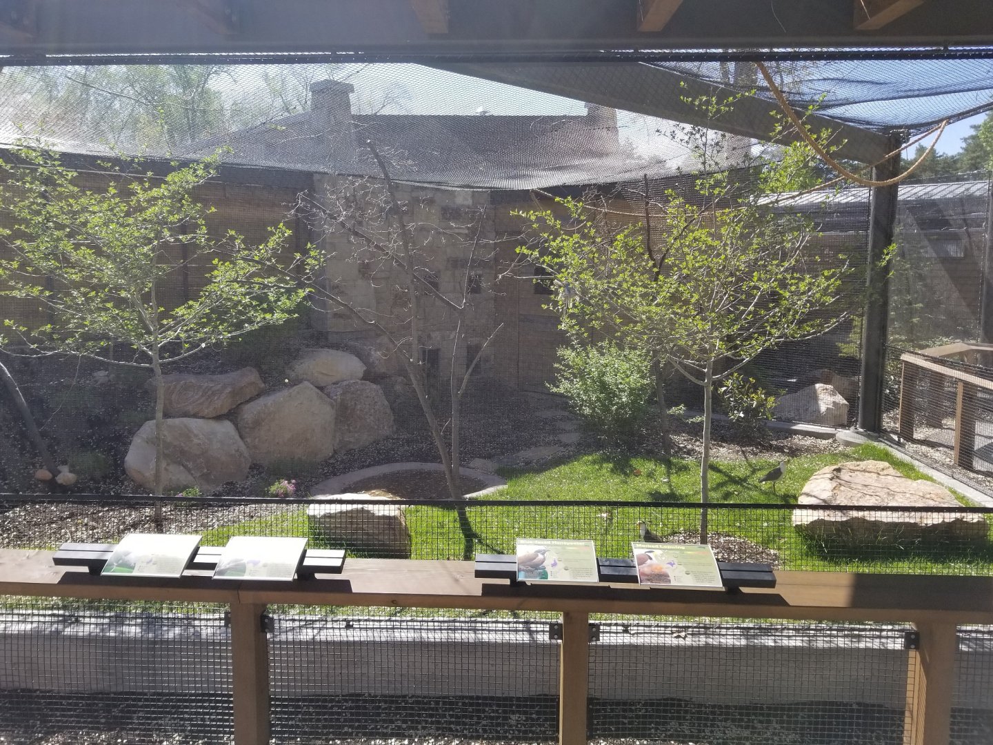 Expedition Kea - Australia Exhibit, May 2018