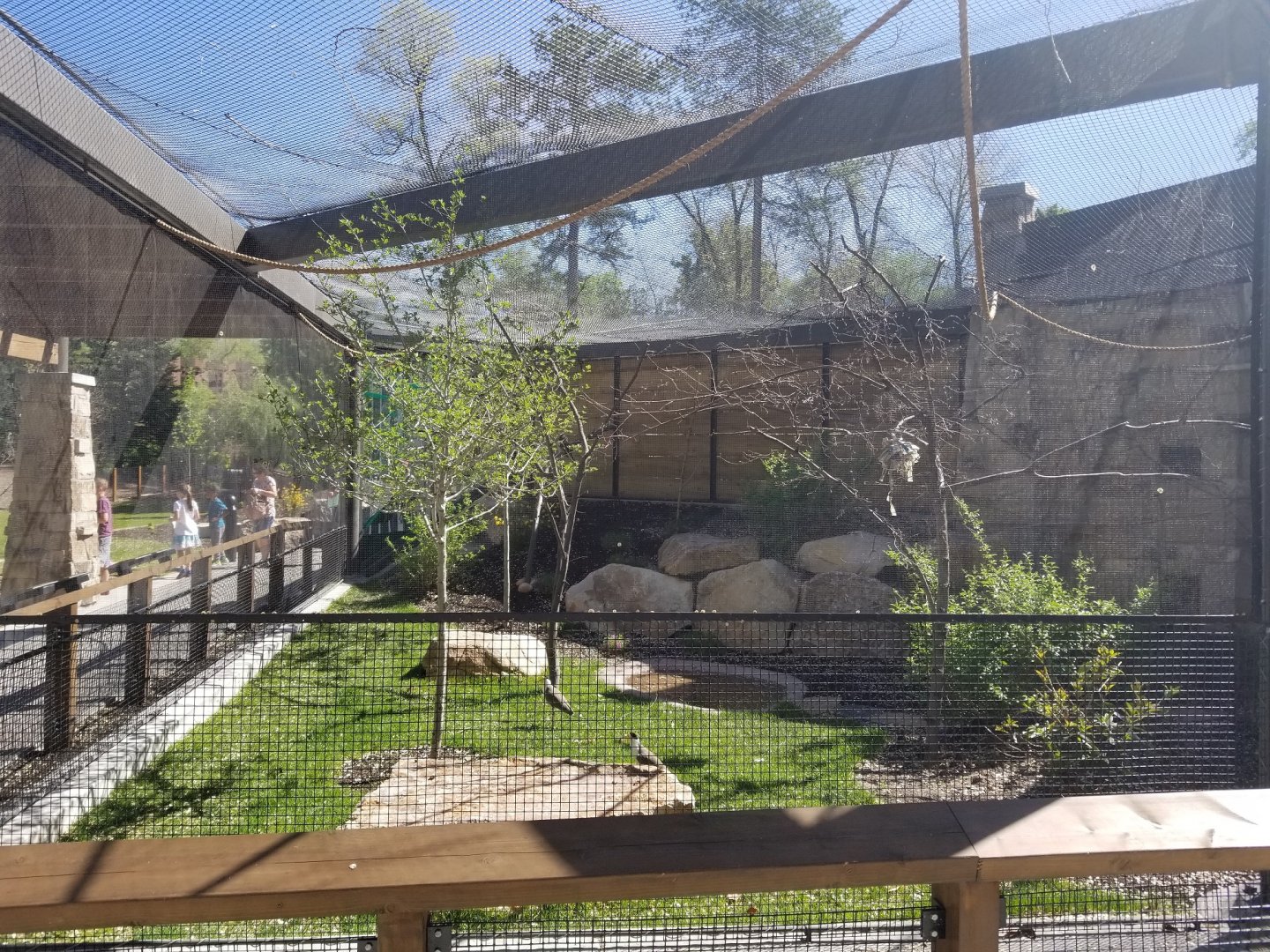 Expedition Kea - Australia Exhibit, May 2018