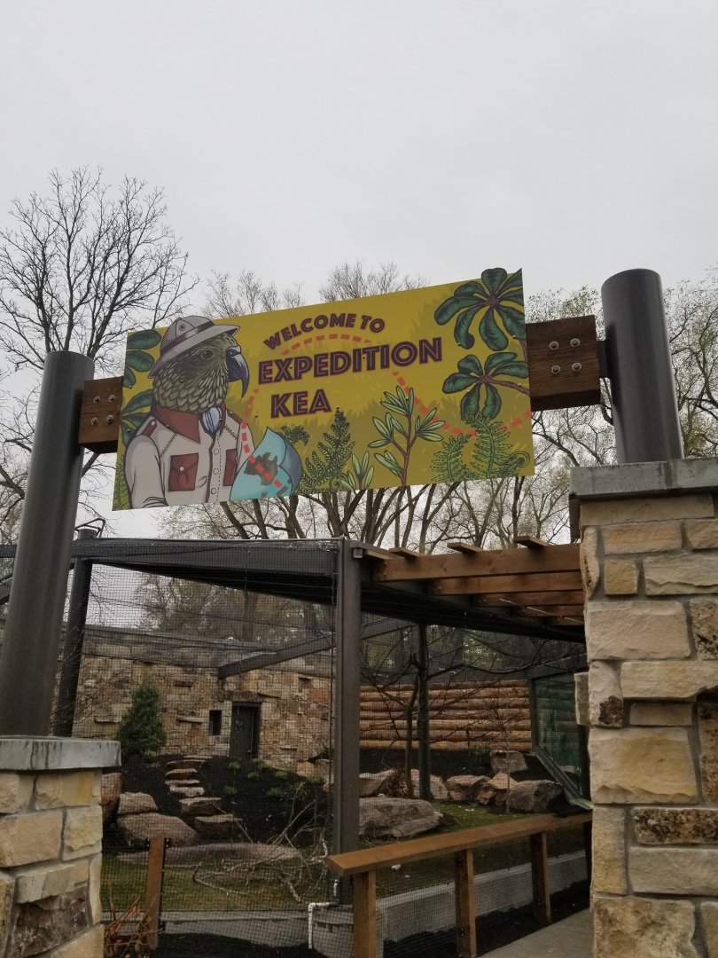 Expedition Kea - March 2018