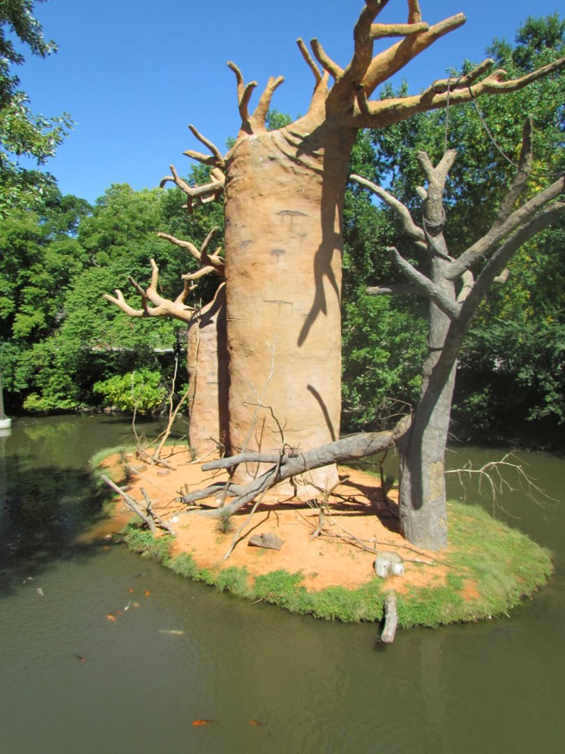 Expedition Madagascar - Baobab Trees in Lemur Exhibit